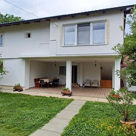 Cîrţişoara Casa Pandrea 게스트하우스 외부 사진