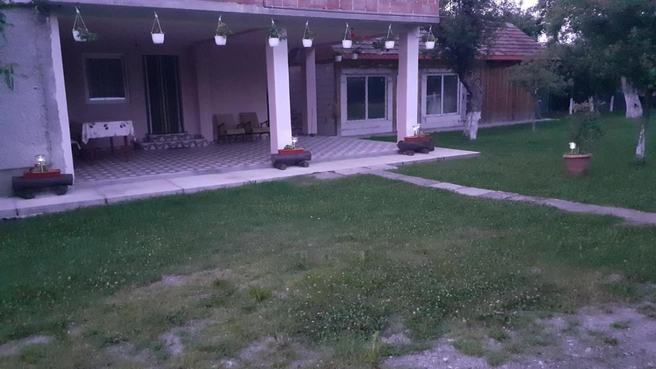 Cîrţişoara Casa Pandrea 게스트하우스 외부 사진