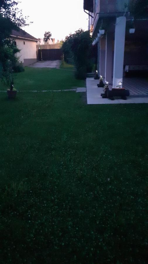 Cîrţişoara Casa Pandrea 게스트하우스 외부 사진