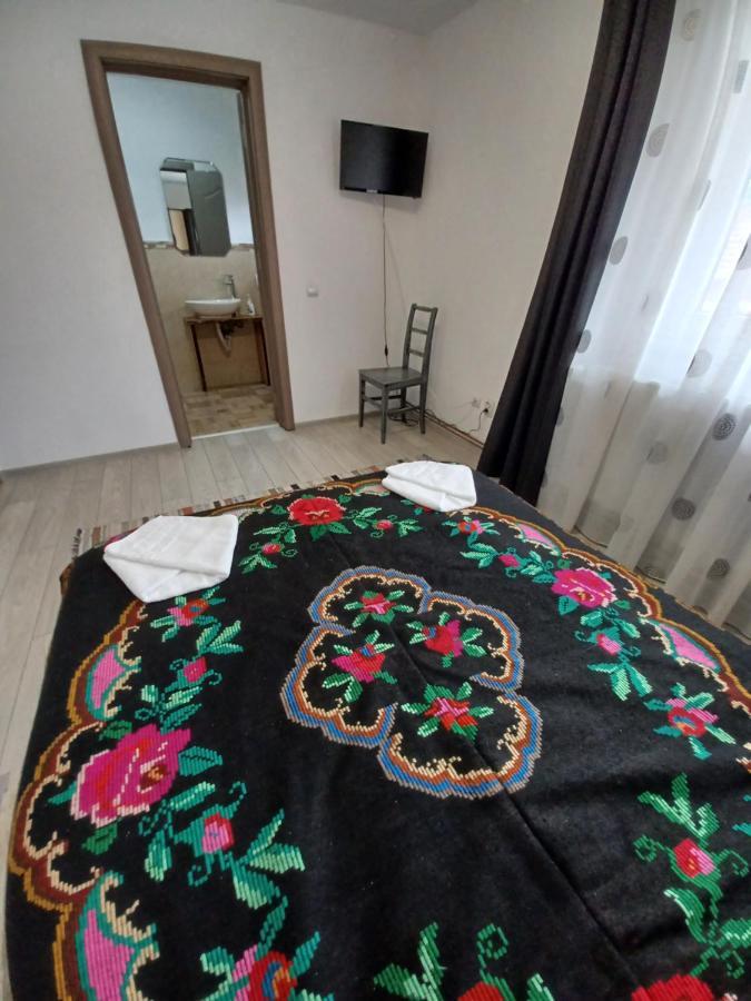 Cîrţişoara Casa Pandrea 게스트하우스 외부 사진