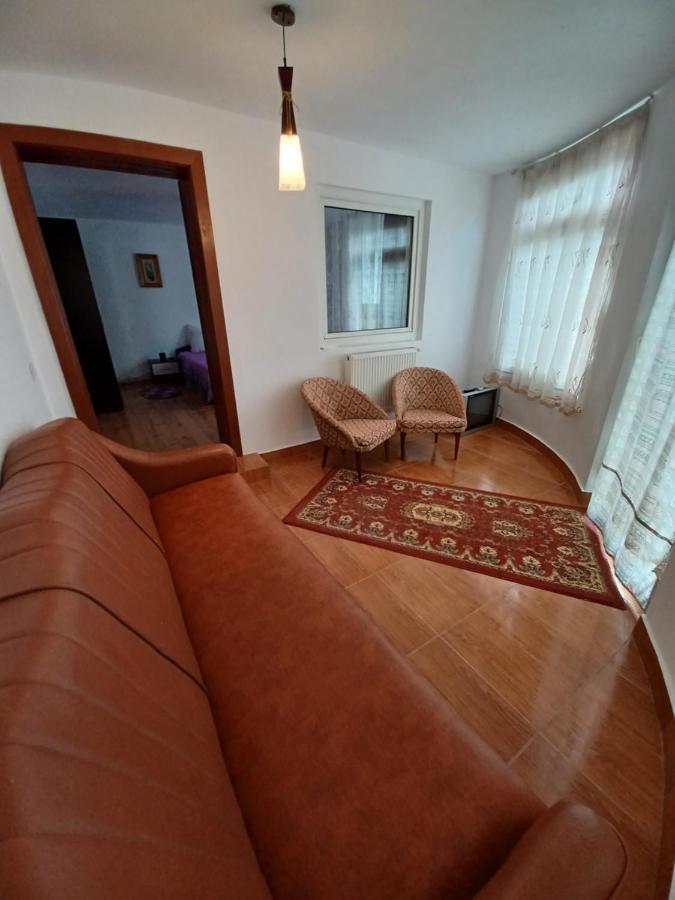 Cîrţişoara Casa Pandrea 게스트하우스 외부 사진