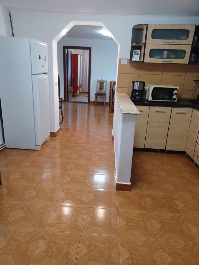 Cîrţişoara Casa Pandrea 게스트하우스 외부 사진