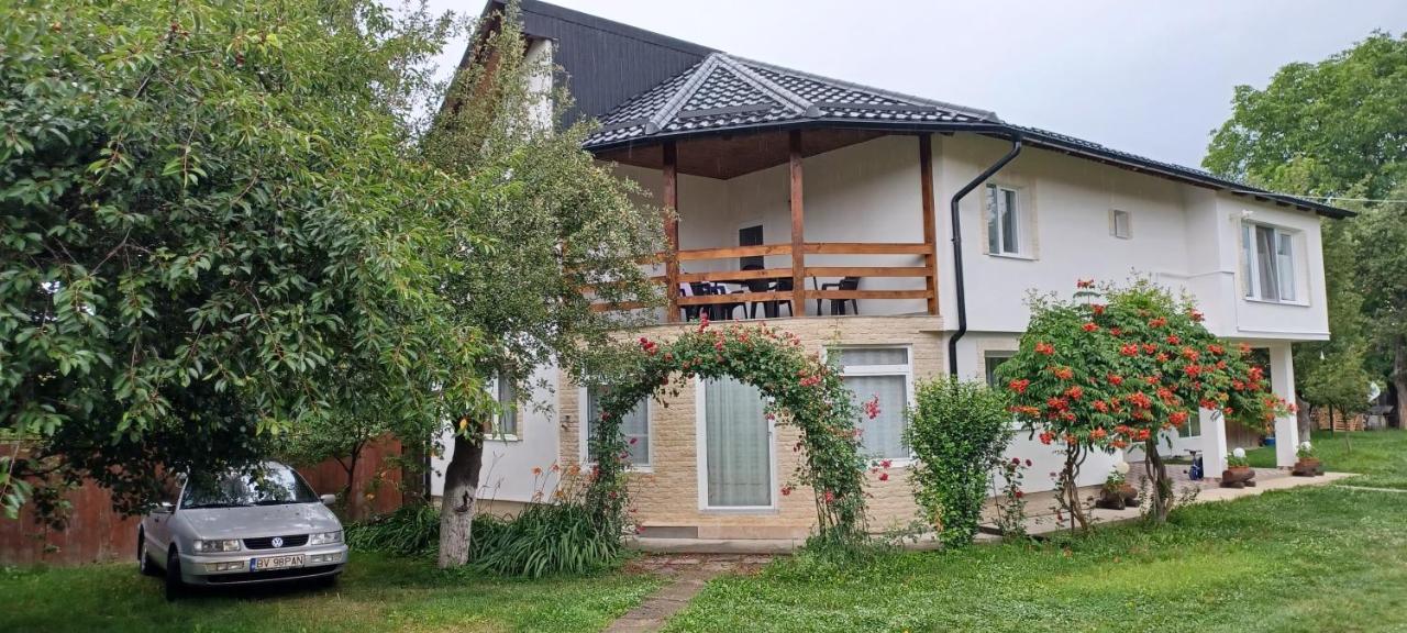 Cîrţişoara Casa Pandrea 게스트하우스 외부 사진