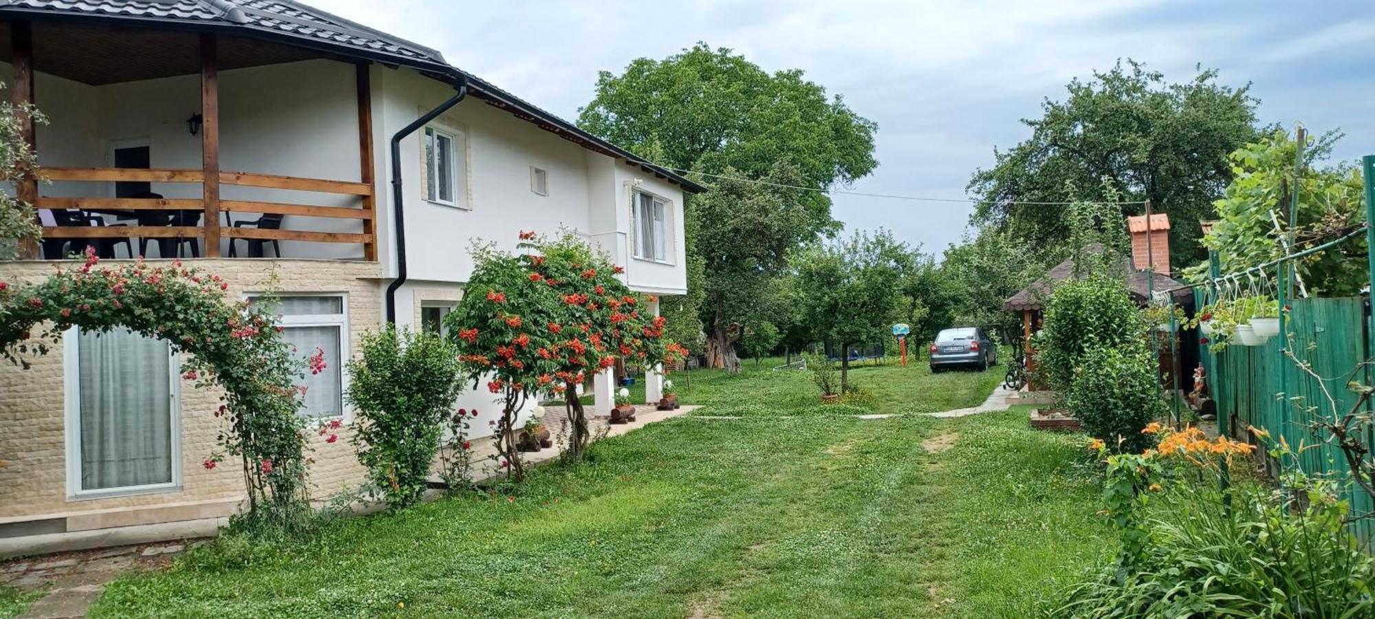 Cîrţişoara Casa Pandrea 게스트하우스 외부 사진