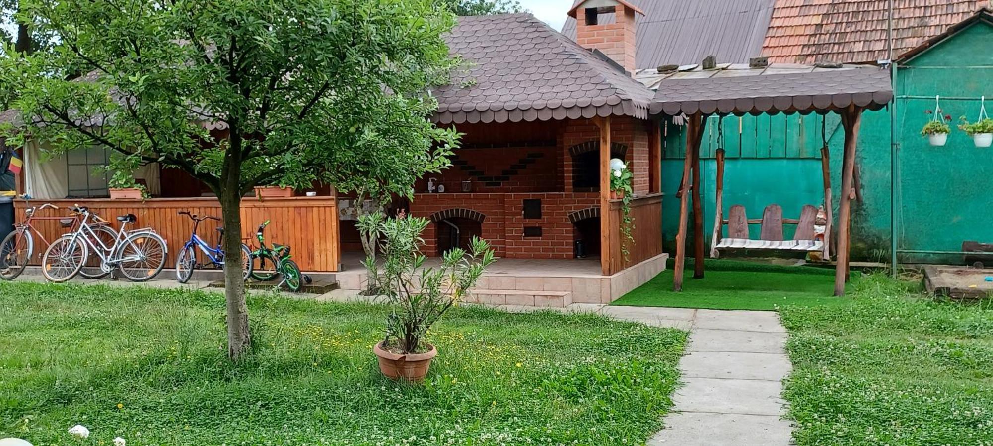 Cîrţişoara Casa Pandrea 게스트하우스 외부 사진