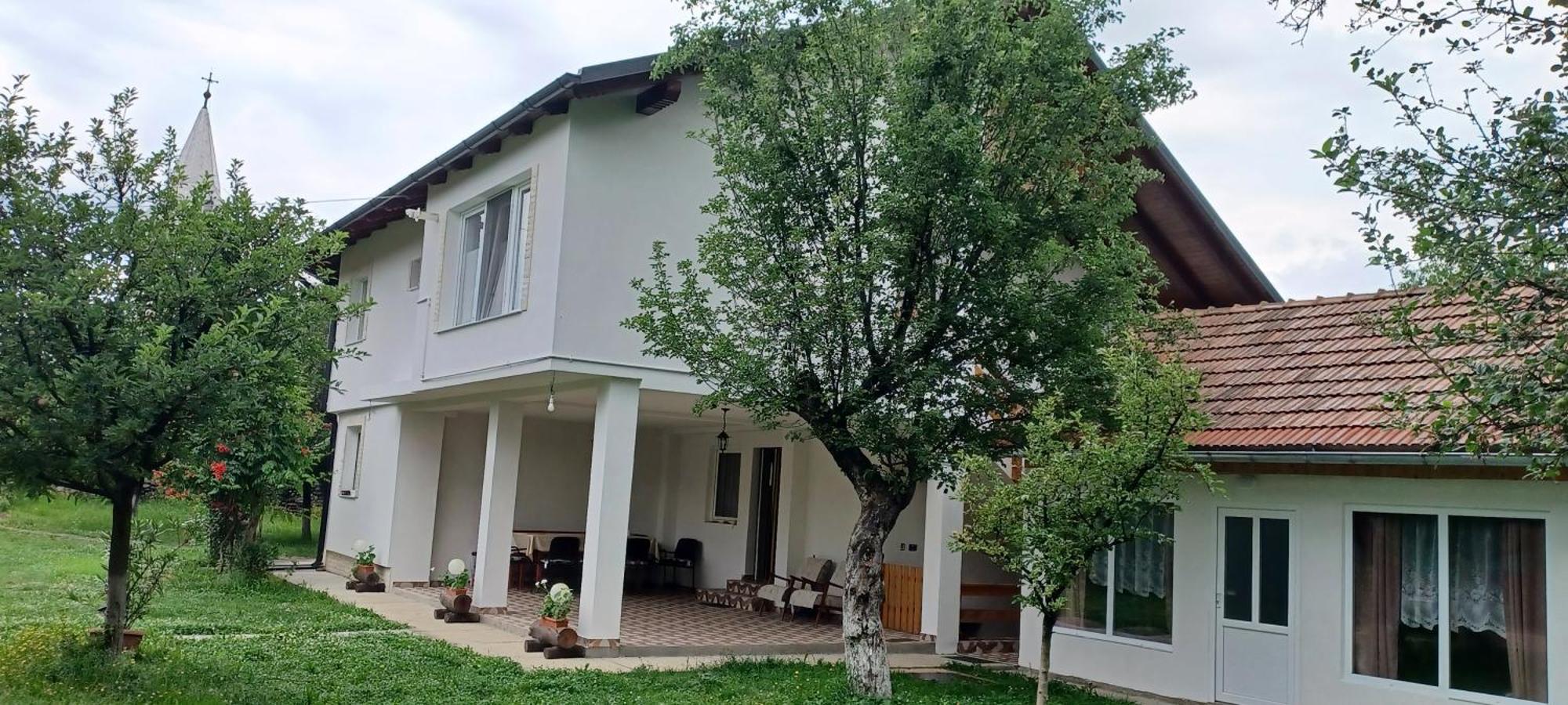 Cîrţişoara Casa Pandrea 게스트하우스 외부 사진